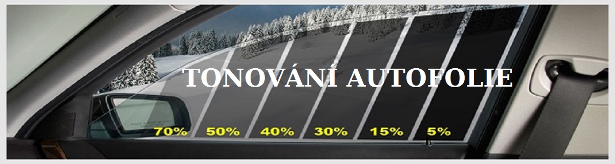 Tonování autoskel